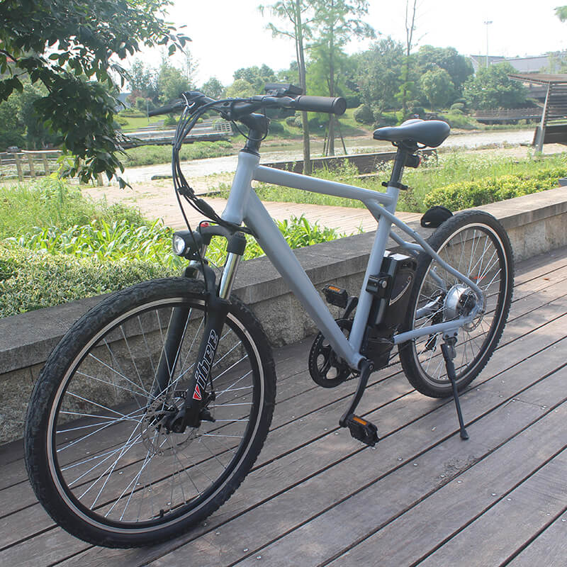 Pioneer - Urban Spirit Road and Mountain Bike &パイオニア-アーバンスピリットロードとマウンテンバイク2603