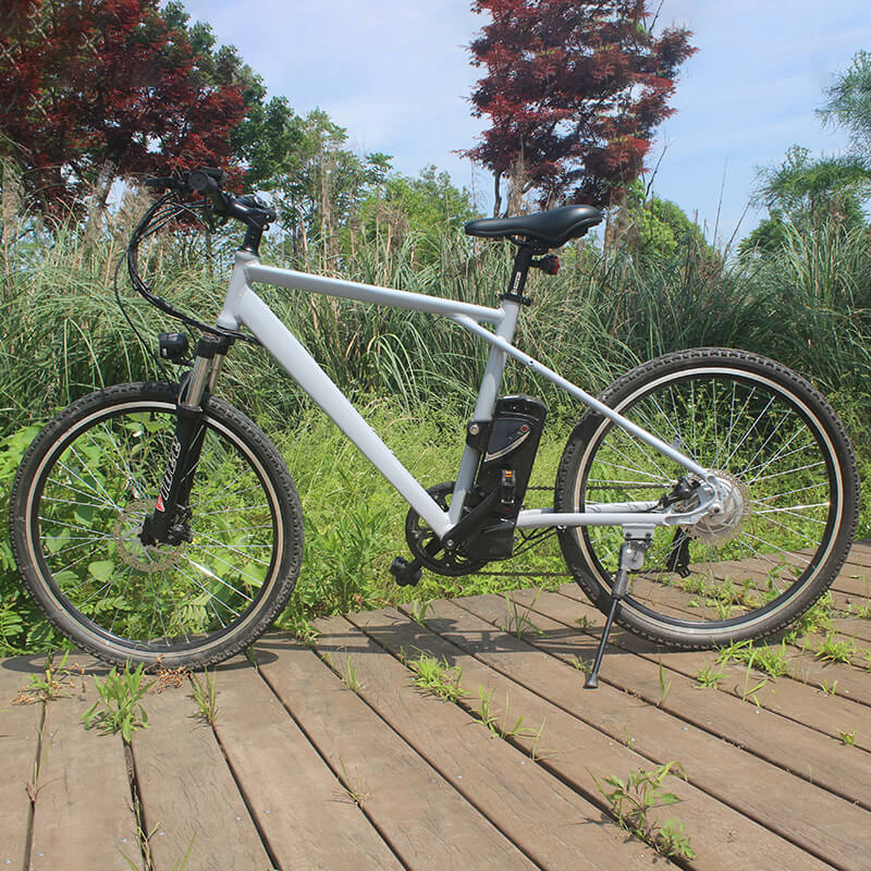 Pioneer - Urban Spirit Road and Mountain Bike &パイオニア-アーバンスピリットロードとマウンテンバイク2603