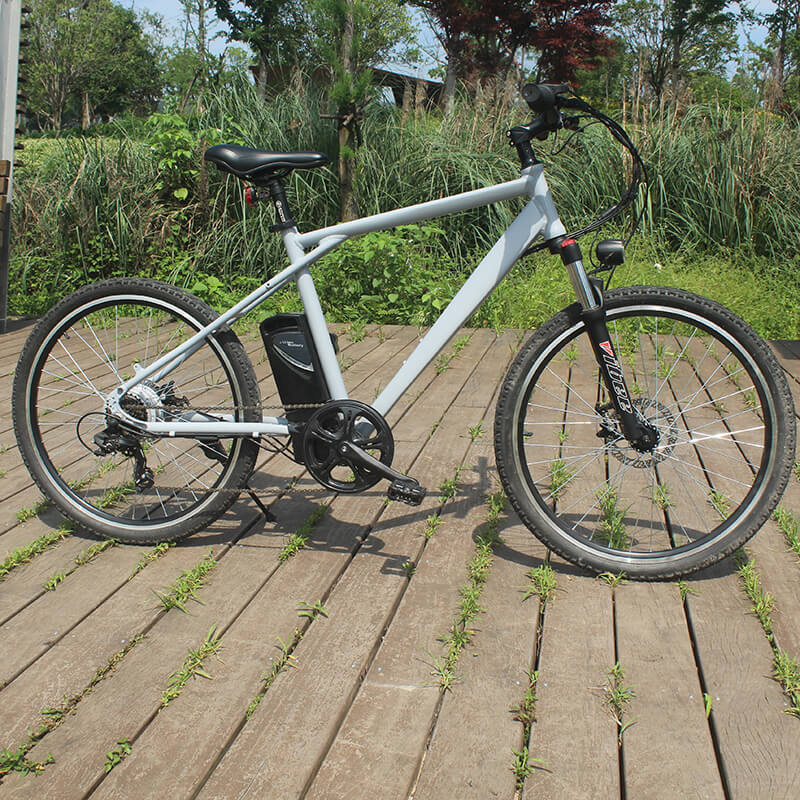 Pioneer - Urban Spirit Road and Mountain Bike &パイオニア-アーバンスピリットロードとマウンテンバイク2603