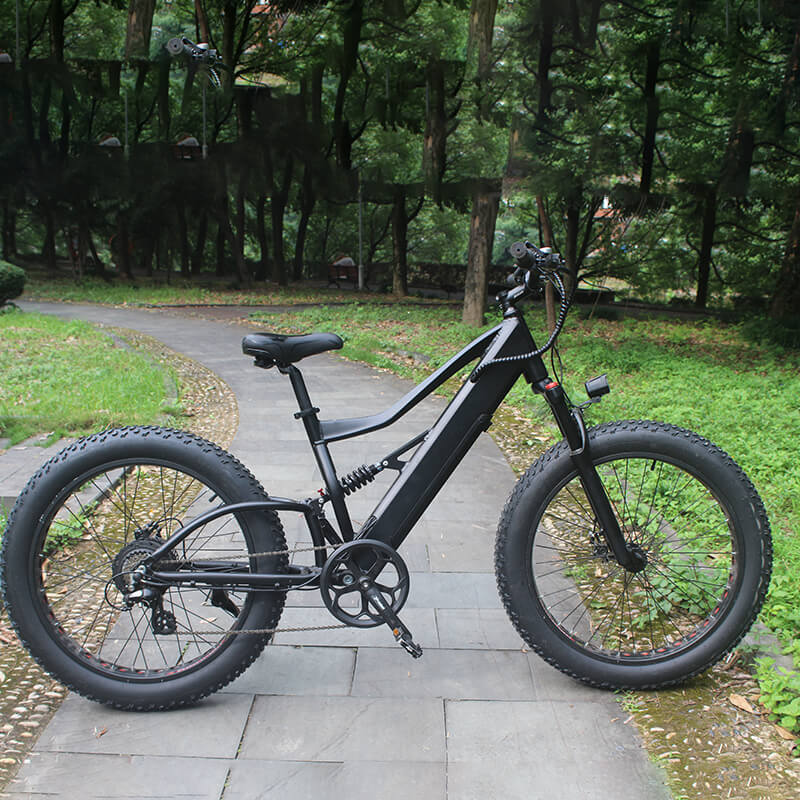 Edifier - Big Brother 2631F