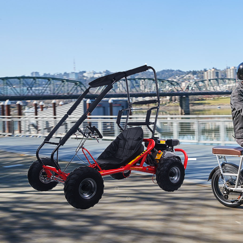 Raider E-bikes:GoKart GK168S
