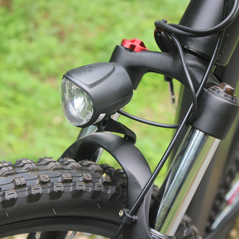 Raider E-bikes:2823