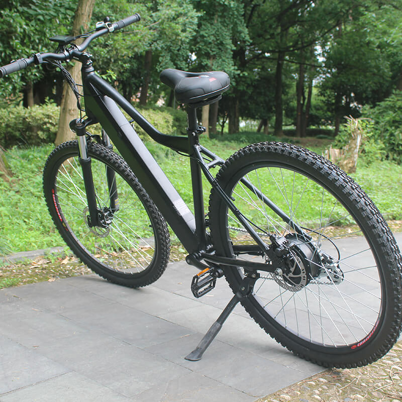 Raider E-bikes:2823