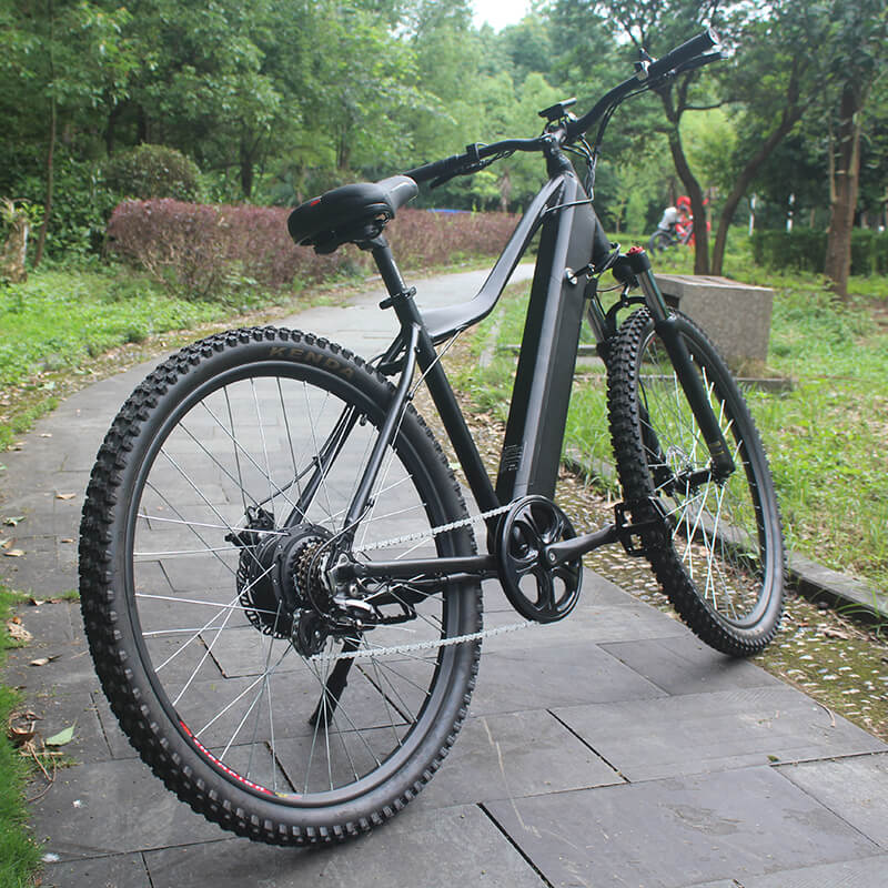 Raider E-bikes:2823