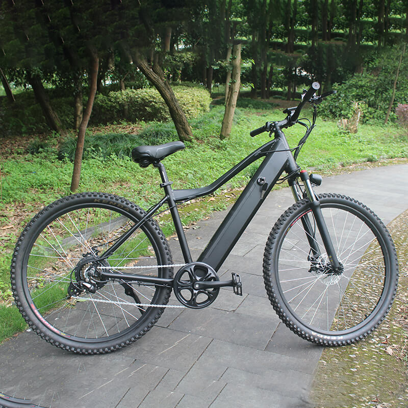 Raider E-bikes:2823