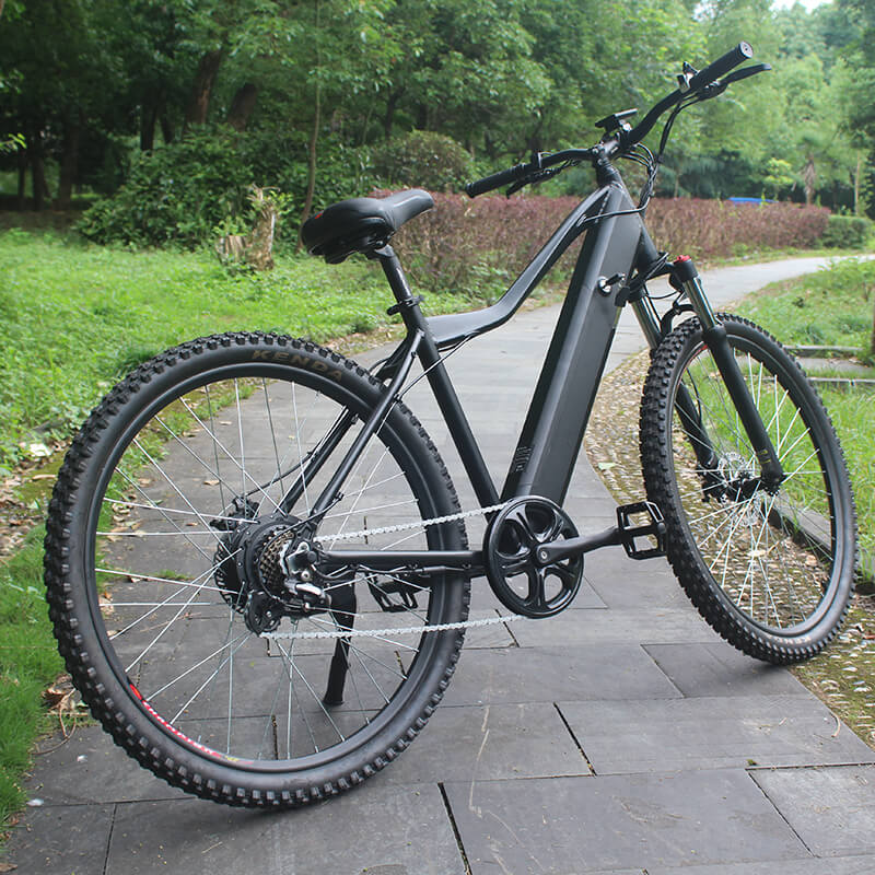 Raider E-bikes:2823