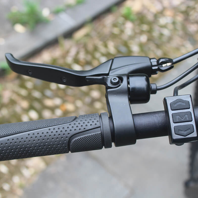 Raider E-bikes:2823