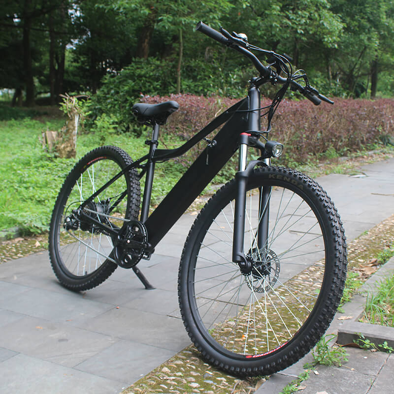 Raider E-bikes:2823