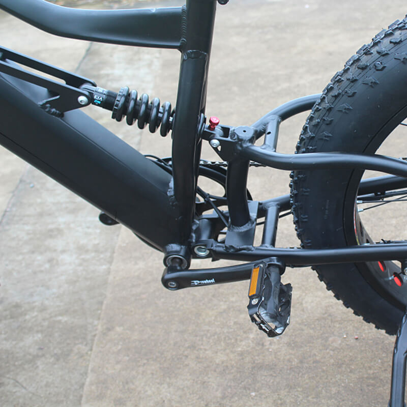 Raider E-bikes:2631F