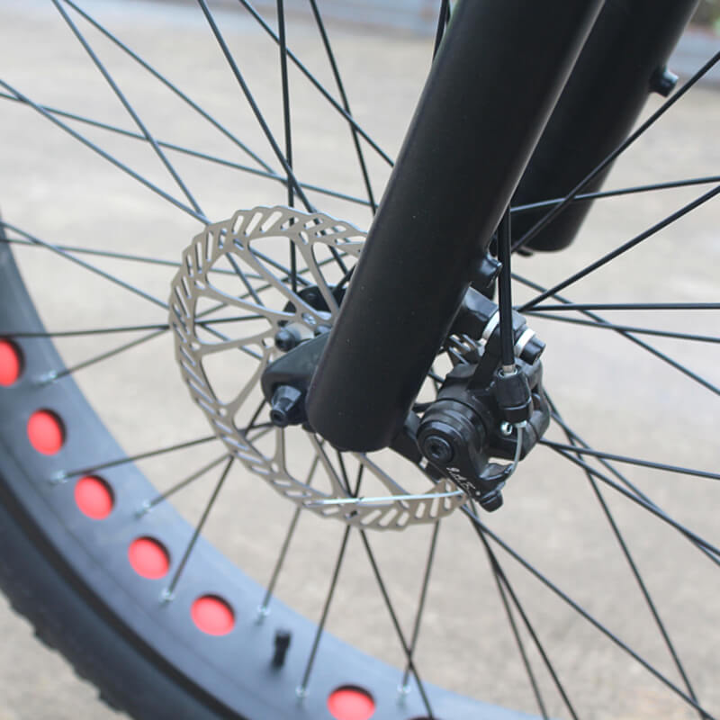 Raider E-bikes:2631F