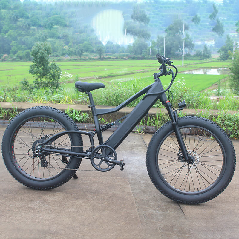 Raider E-bikes:2631F