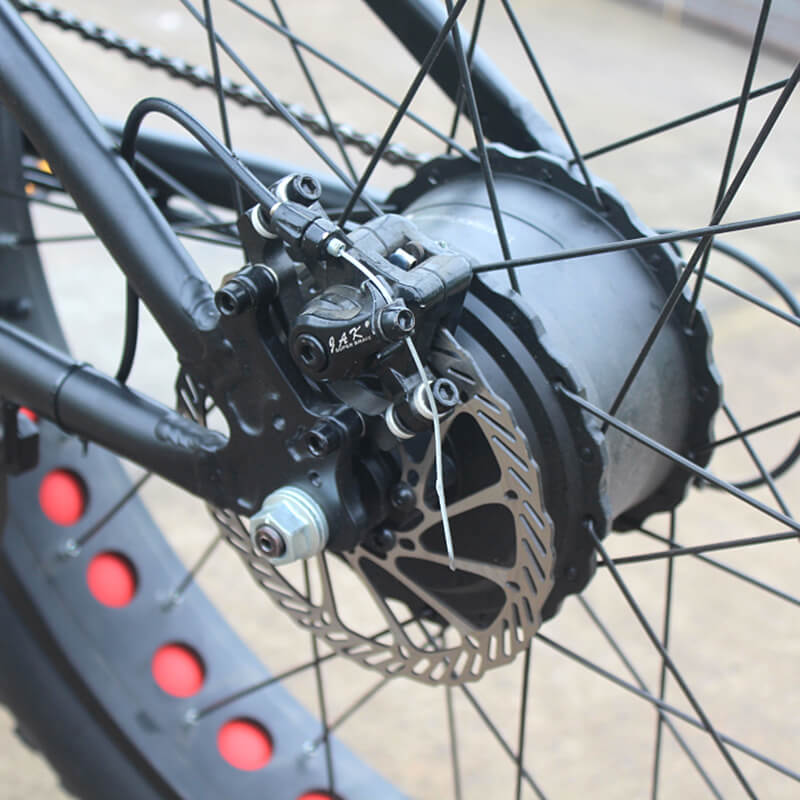 Raider E-bikes:2631F