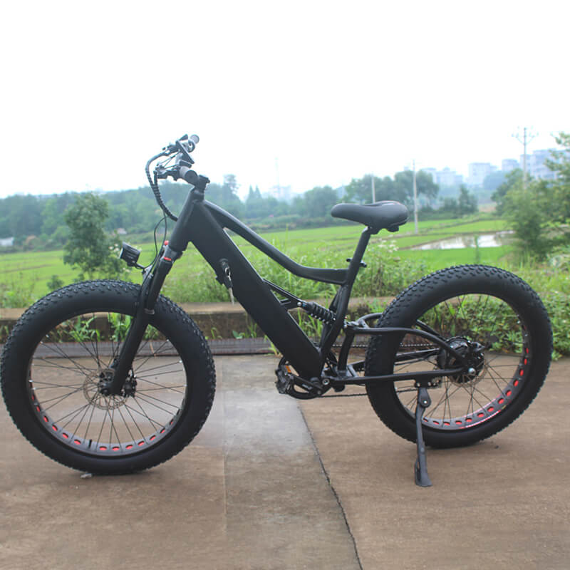 Raider E-bikes:2631F