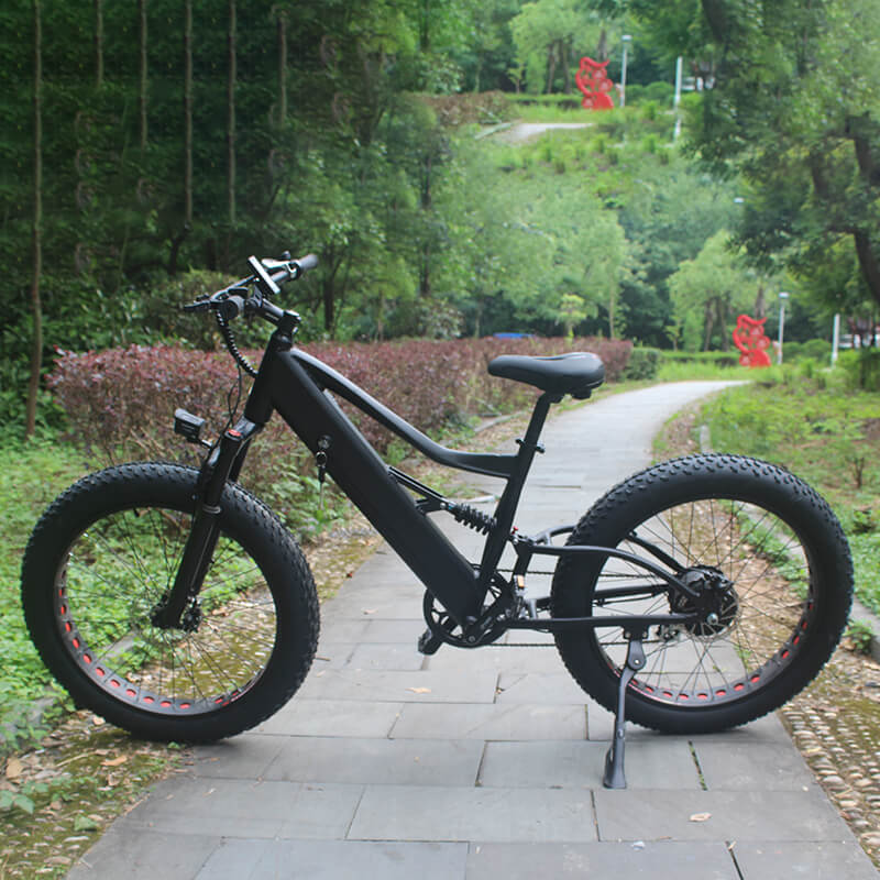 Raider E-bikes:2631F