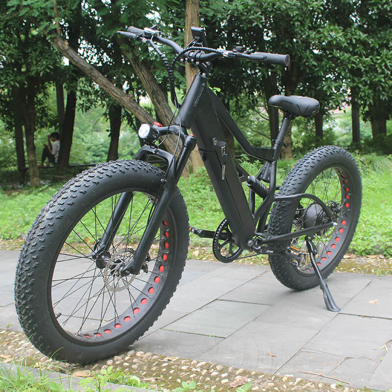 Raider E-bikes:2631F