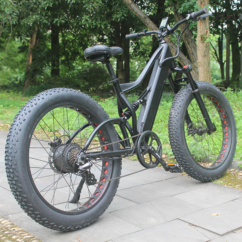Raider E-bikes:2631F