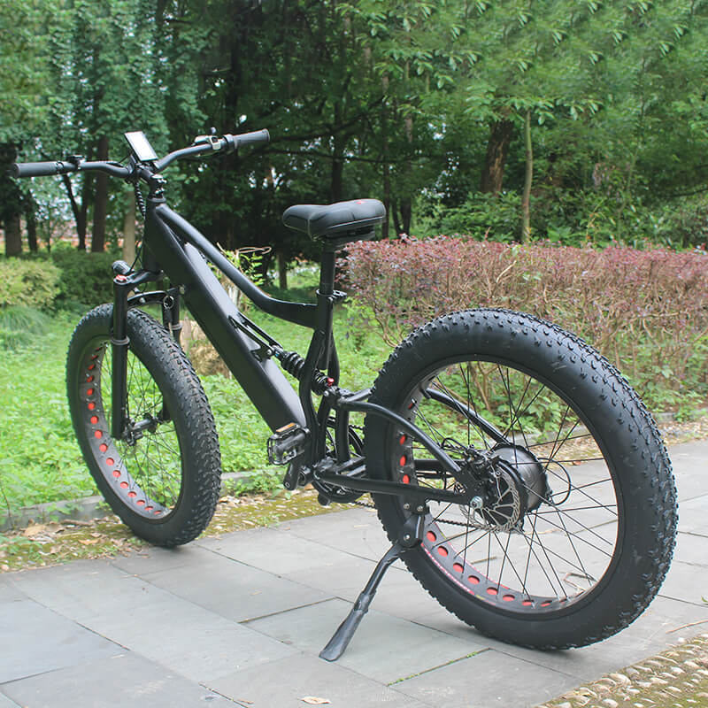 Raider E-bikes:2631F
