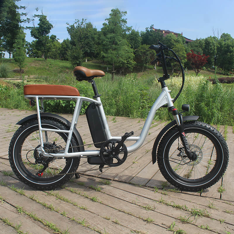 Raider E-bikes:2032F