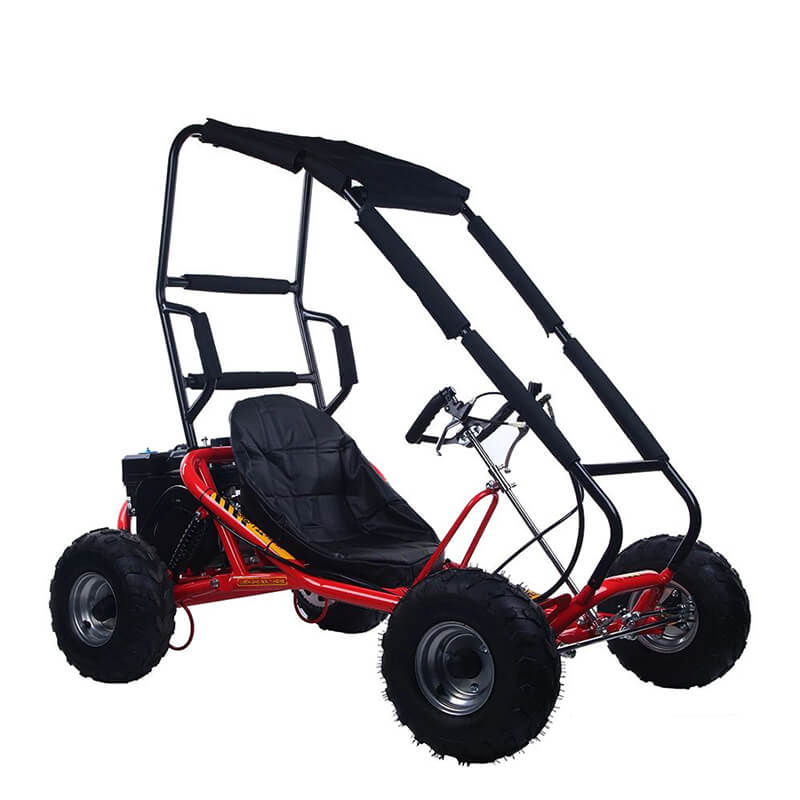 Raider E-bikes:168 Go Kart