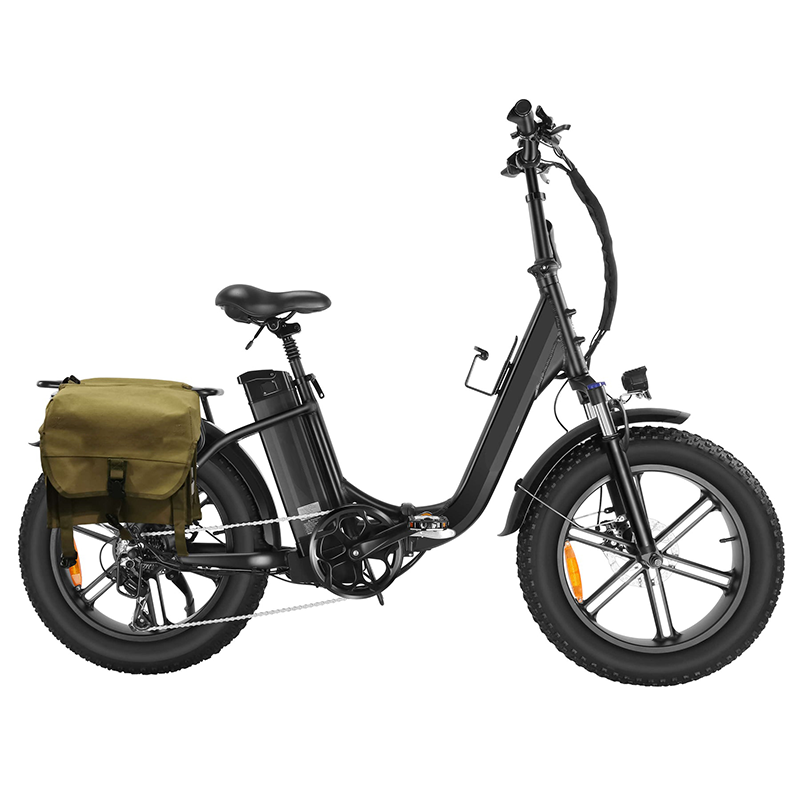 Ranger Step-through Fat Tire E-Bike 2041F