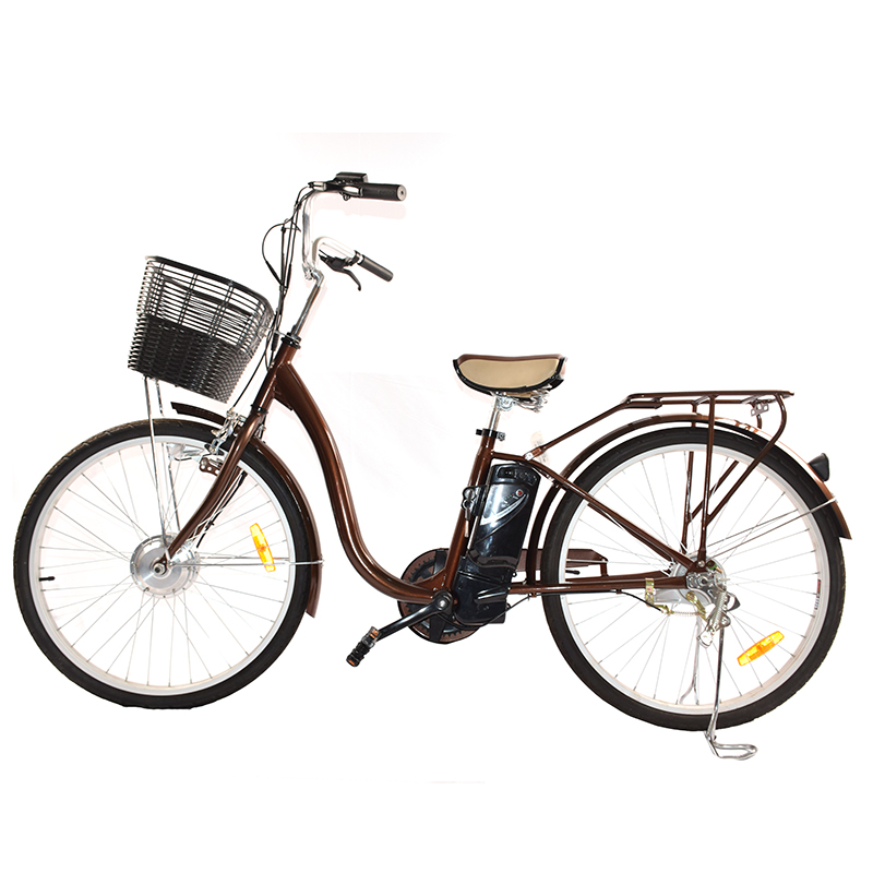Raider:26 inch city car 26インチシティカー 26T