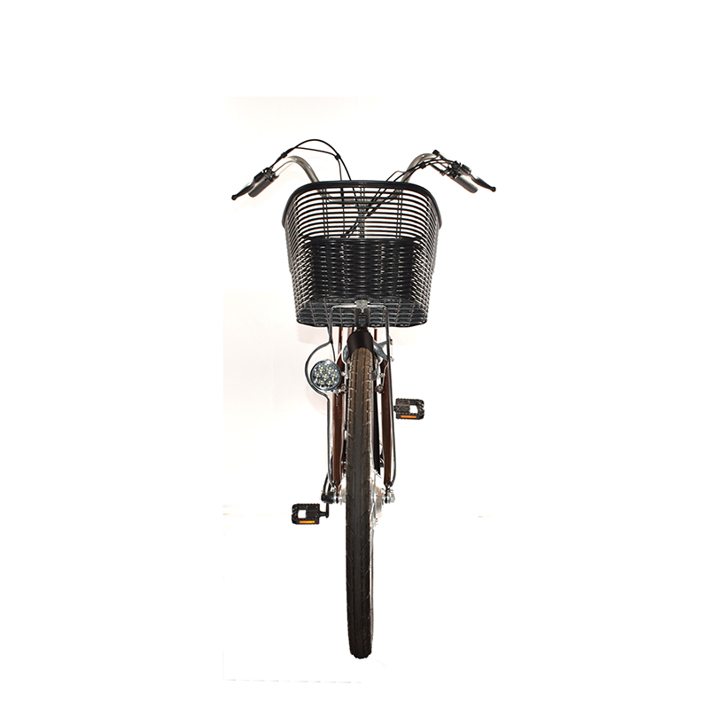 Raider:26 inch city car 26インチシティカー 26T