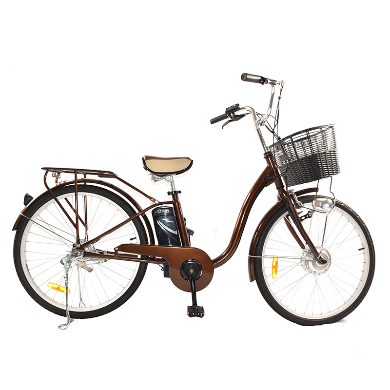 Raider:26 inch city car 26インチシティカー 26T