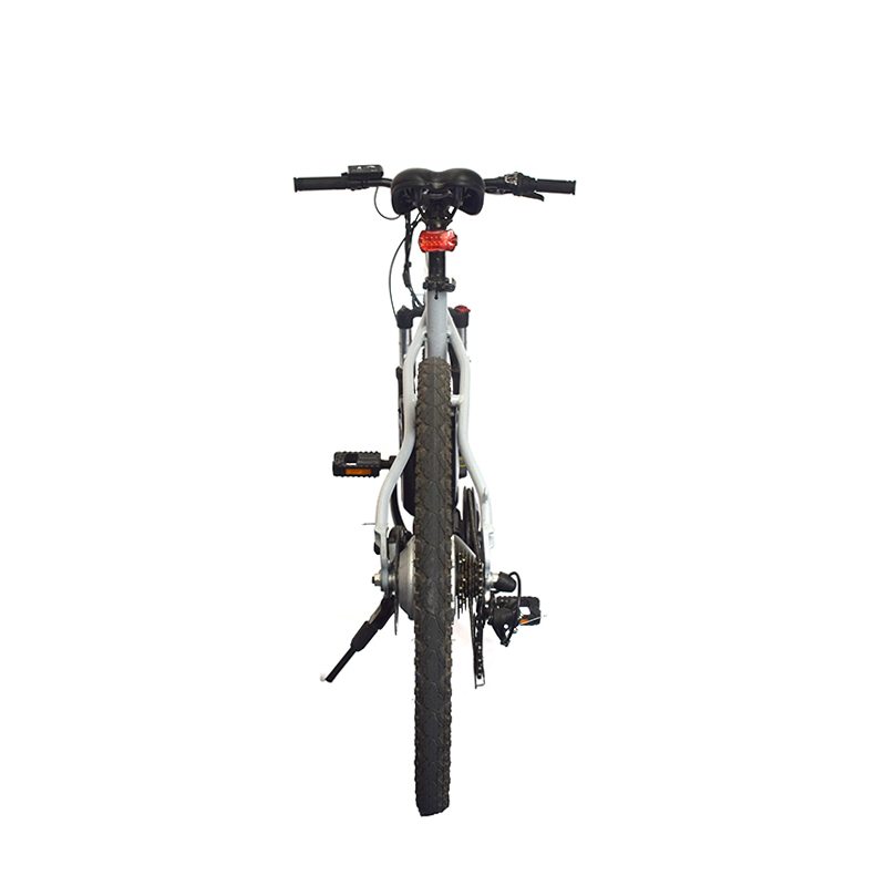 Pioneer - Urban Spirit Road and Mountain Bike &パイオニア-アーバンスピリットロードとマウンテンバイク2603