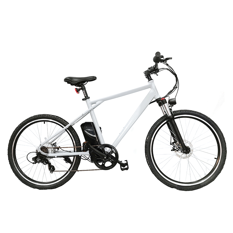 Pioneer - Urban Spirit Road and Mountain Bike &パイオニア-アーバンスピリットロードとマウンテンバイク2603