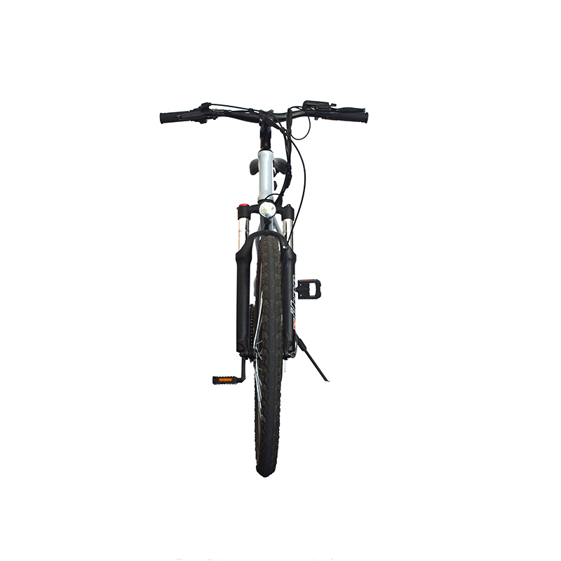 Pioneer - Urban Spirit Road and Mountain Bike &パイオニア-アーバンスピリットロードとマウンテンバイク2603