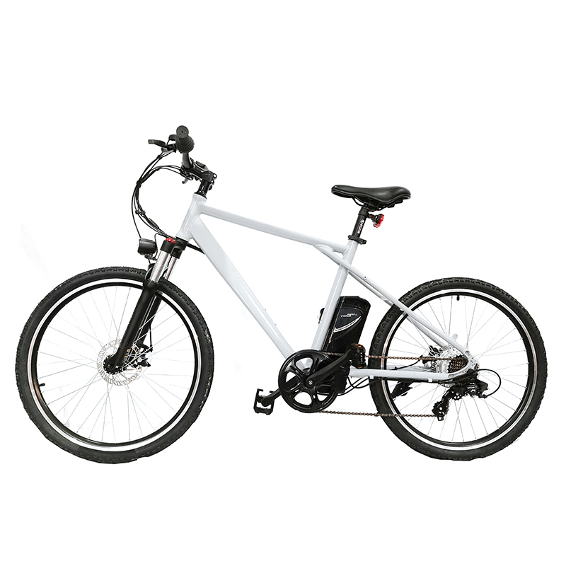 Pioneer - Urban Spirit Road and Mountain Bike &パイオニア-アーバンスピリットロードとマウンテンバイク2603