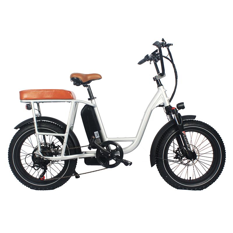 20*3.3 Fat Tire  E-BIKE.Enjoy well-known design