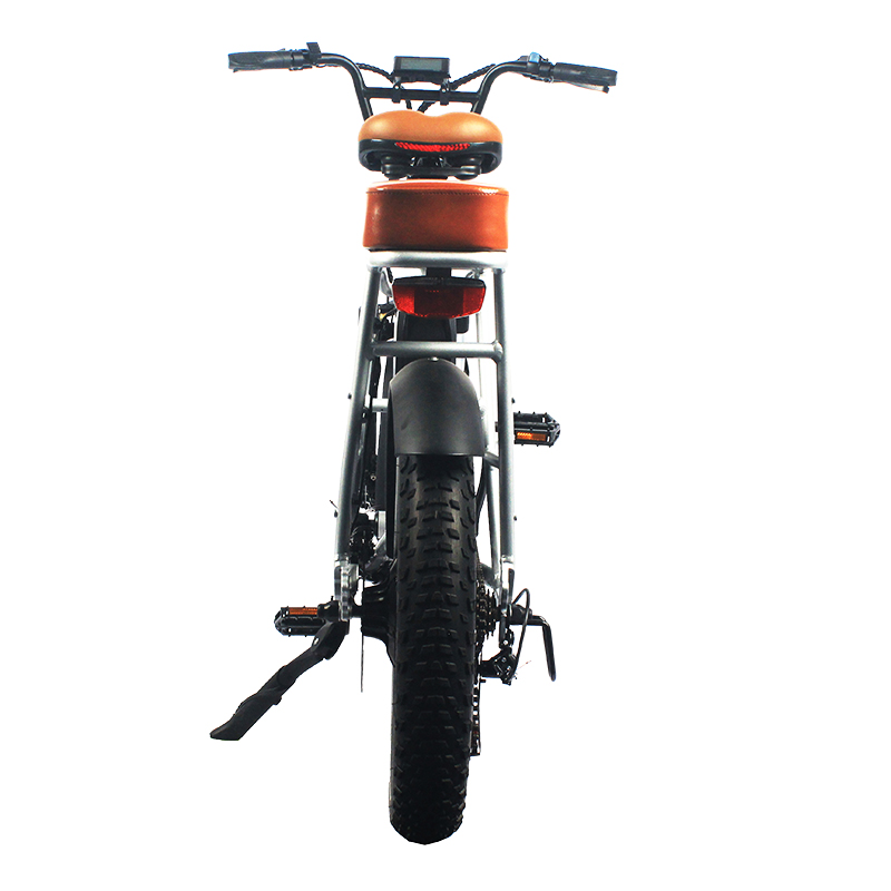 20*3.3 Fat Tire  E-BIKE.Enjoy well-known design
