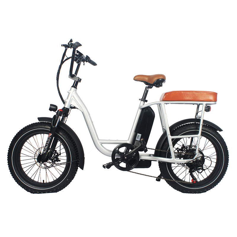 20*3.3 Fat Tire  E-BIKE.Enjoy well-known design