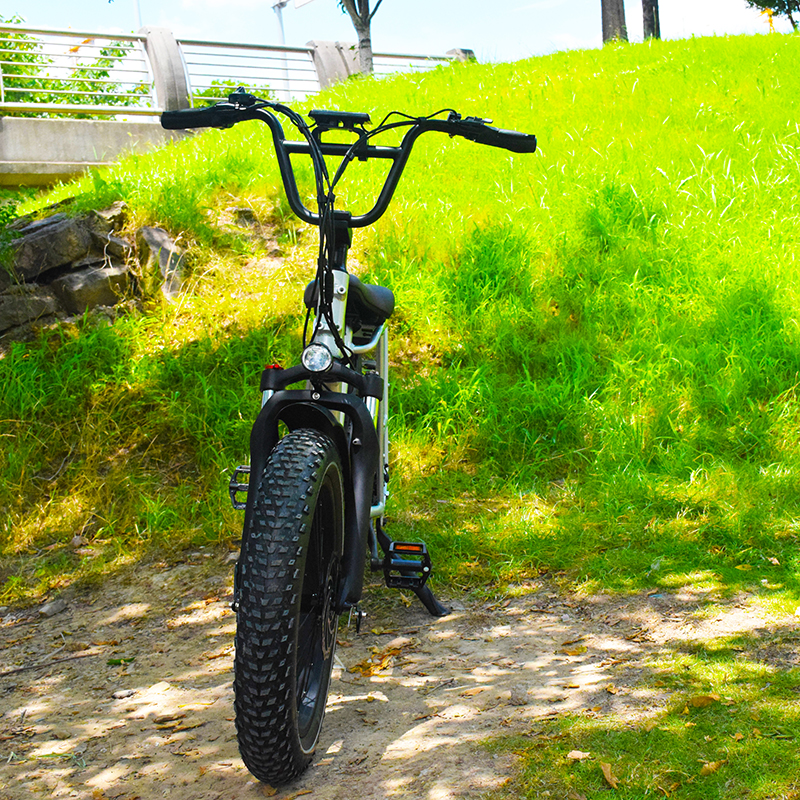 20*3.3 Fat Tire  E-BIKE.Enjoy well-known design