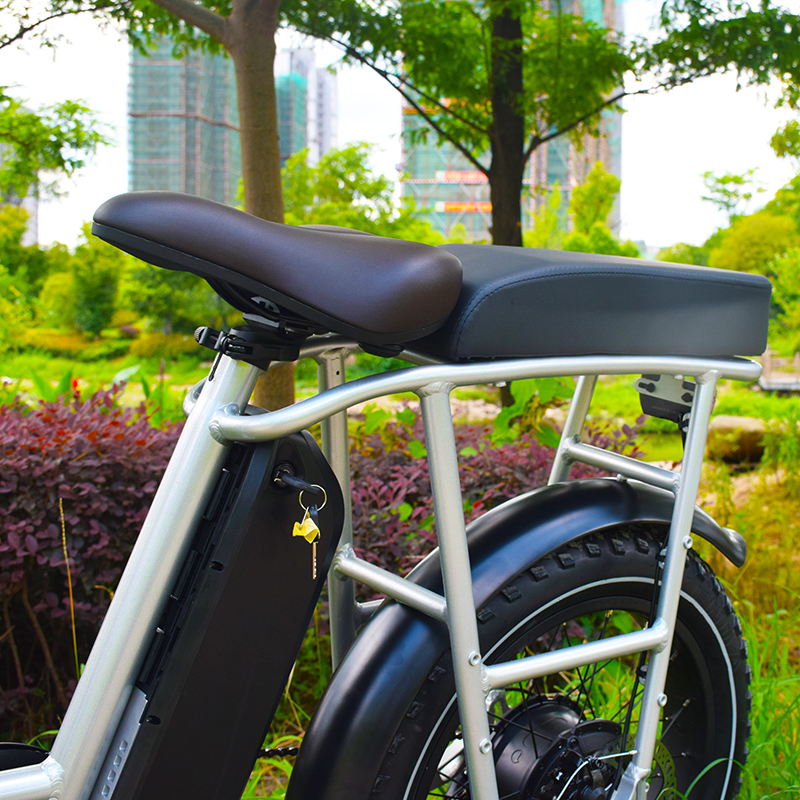 20*3.3 Fat Tire  E-BIKE.Enjoy well-known design