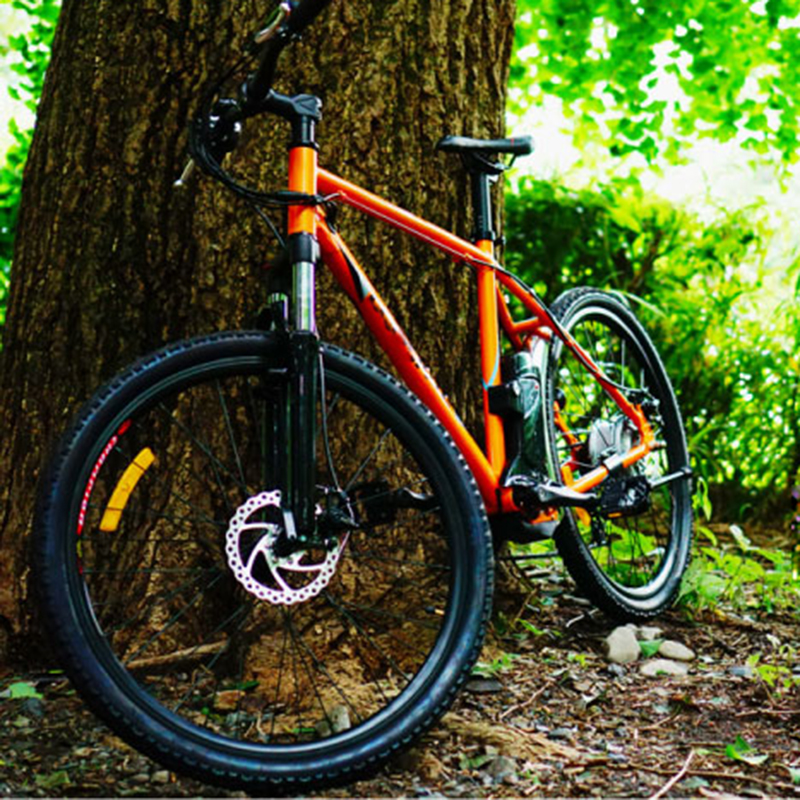 Spirit of Freedom - 26 Inch Electric Mountain Bike