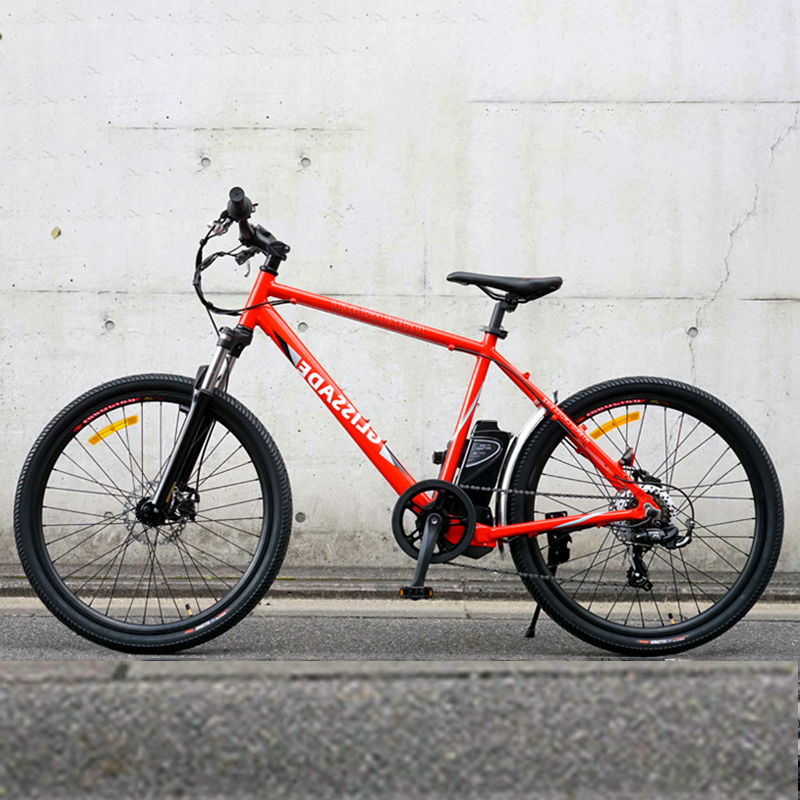 Spirit of Freedom - 26 Inch Electric Mountain Bike