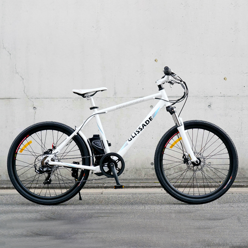 Spirit of Freedom - 26 Inch Electric Mountain Bike