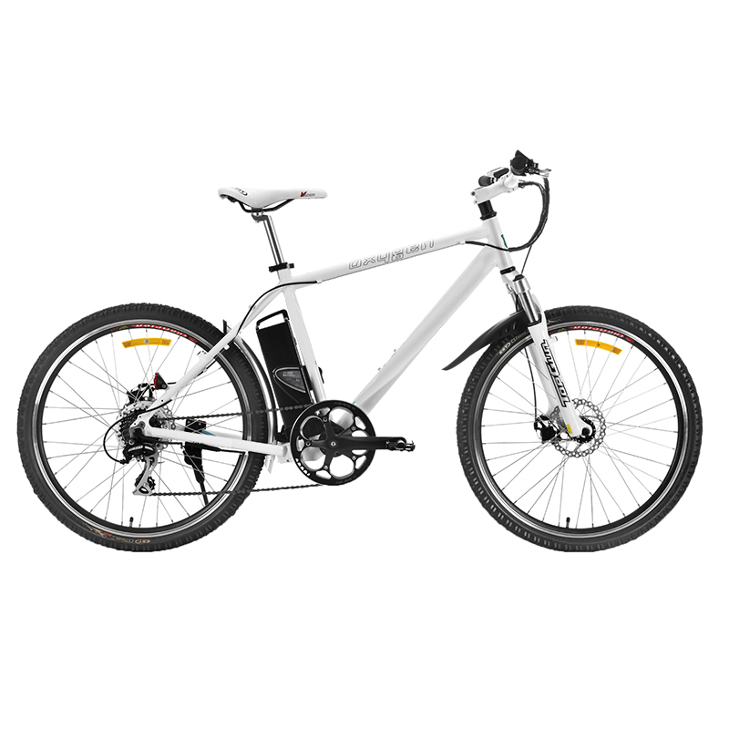 Spirit of Freedom - 26 Inch Electric Mountain Bike
