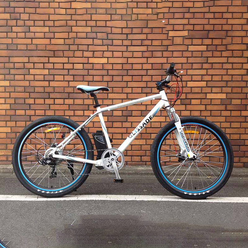 Spirit of Freedom - 26 Inch Electric Mountain Bike