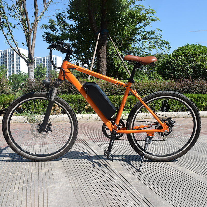 The Classic Commuter-A sleek-2605