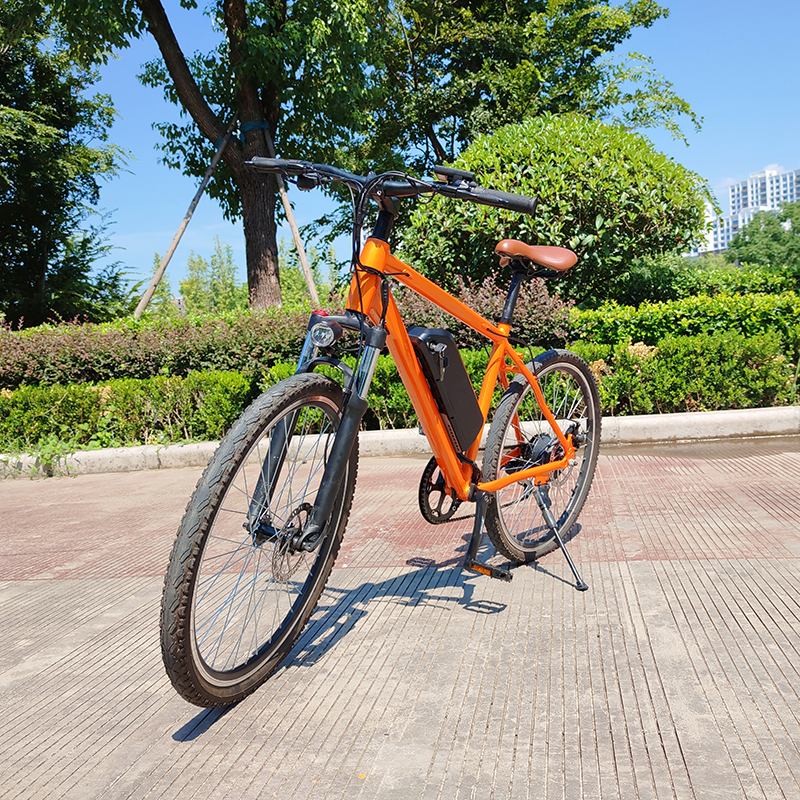 The Classic Commuter-A sleek-2605