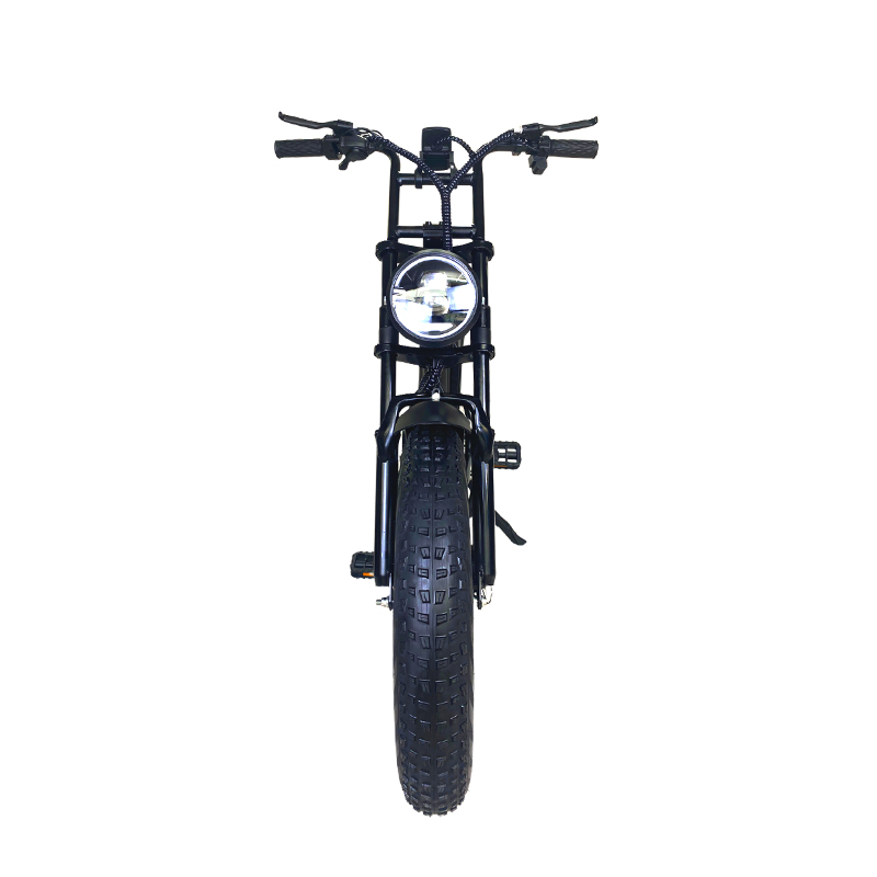 Mountain-38F Raider The Best 20 inch electric off-road snowmobile mountain bike