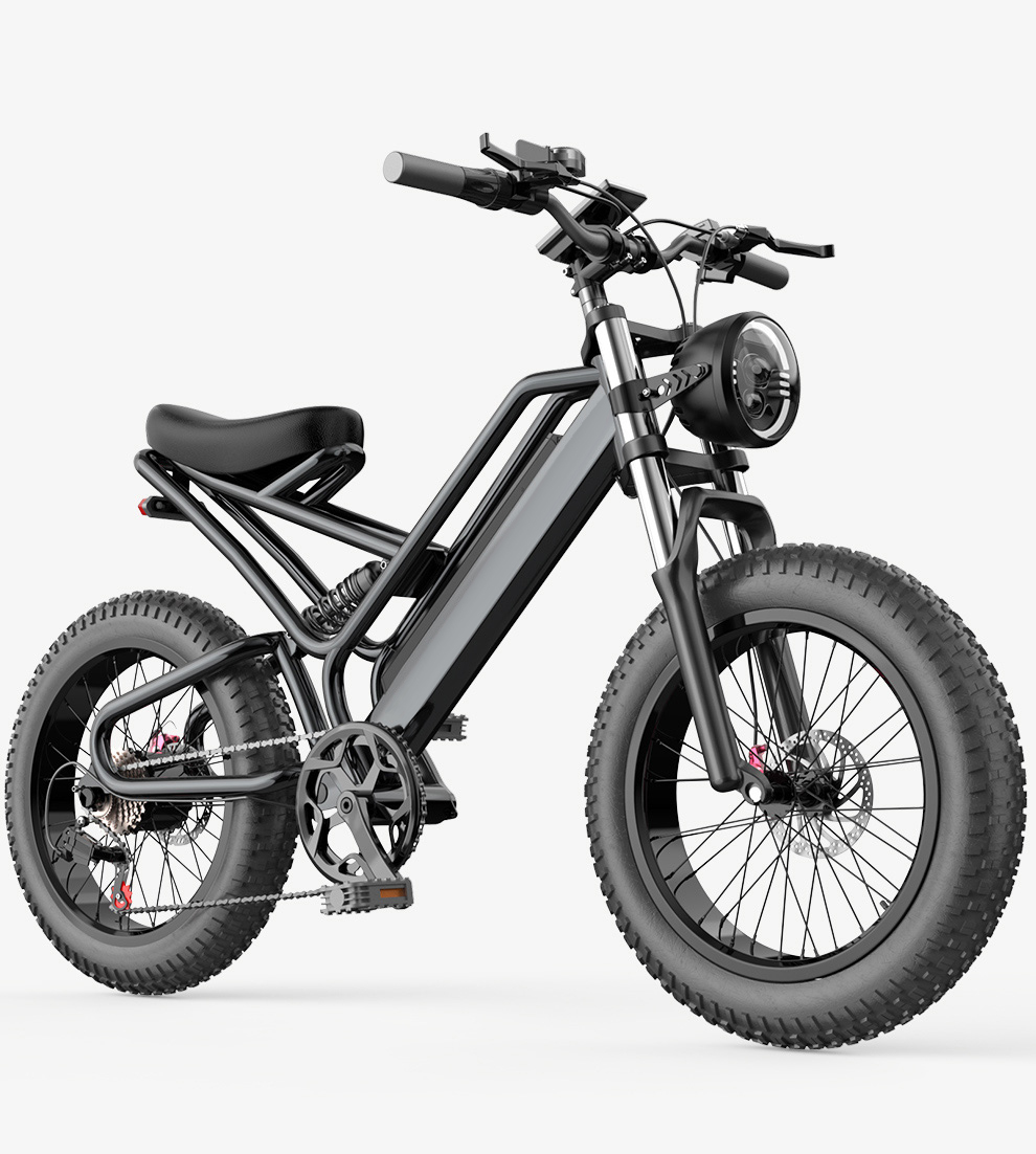 Mountain-38F Raider The Best 20 inch electric off-road snowmobile mountain bike