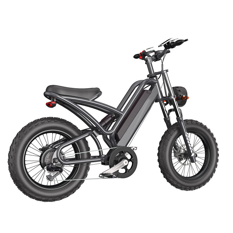 Mountain-38F Raider The Best 20 inch electric off-road snowmobile mountain bike