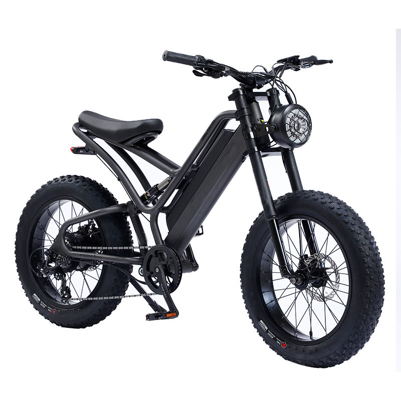 Mountain-38F Raider The Best 20 inch electric off-road snowmobile mountain bike