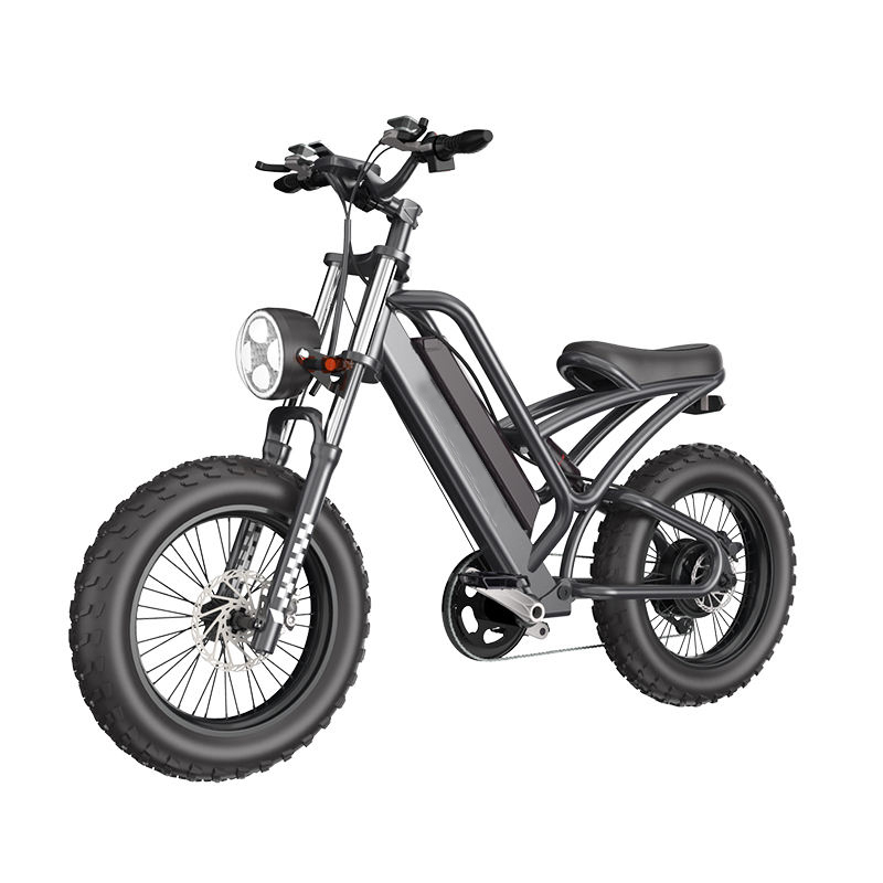 Mountain-38F Raider The Best 20 inch electric off-road snowmobile mountain bike