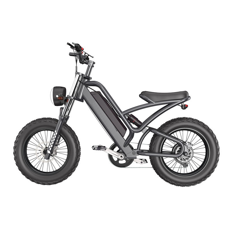 Mountain-38F Raider The Best 20 inch electric off-road snowmobile mountain bike