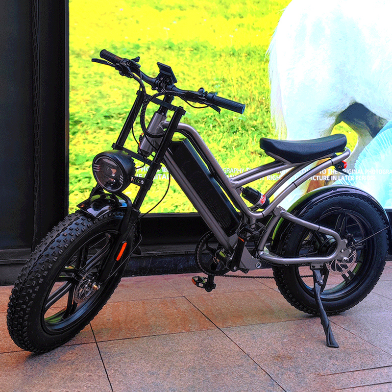 Mountain-38F Raider The Best 20 inch electric off-road snowmobile mountain bike